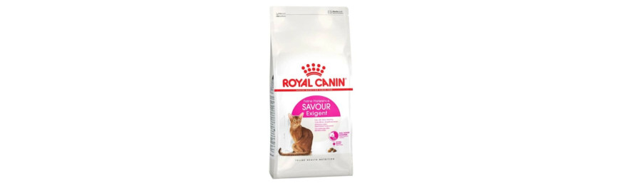 雙11優惠 - Royal Canin 挑嘴系列 貓乾糧